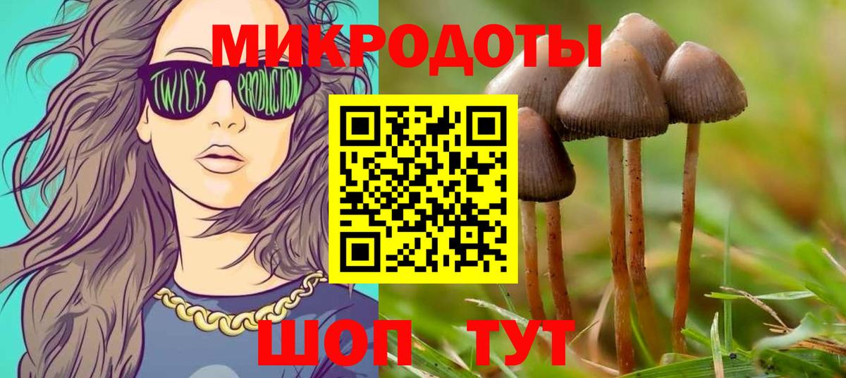 Галлюциногенные грибы Psilocybe Михайловск