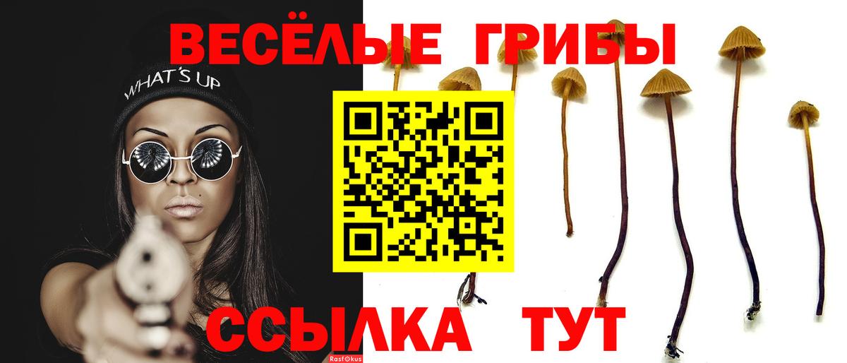 Псилоцибиновые грибы GOLDEN TEACHER  Вход с VPN  Михайловск  Псилоцибиновые грибы Cubensis 